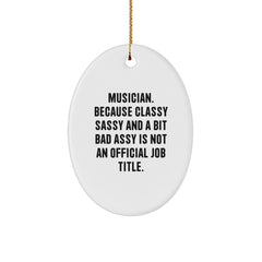 Funny Musician Oval Ornament Gifts for Musicians, Unique Christmas Unique Gifts from Friends, Family, Coworkers to Musician Men, Women, Oval Decorations - Image 1