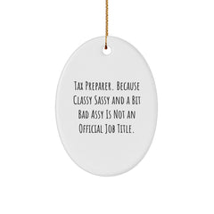 Tax Preparer Gifts - Funny Quote Oval Ornament for Tax Pro, a Unique Christmas Unique Gift Idea, Gifts from Friends to Family, a Hilarious Gift for Tax Preparer - Image 1