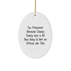 Funny Tax Preparer Oval Ornament Gifts from Friends for Men Women Coworkers Family - Classy Sassy And A Bit Fearlessy Is Not An Official Job Title Christmas Unique Gifts - Image 1