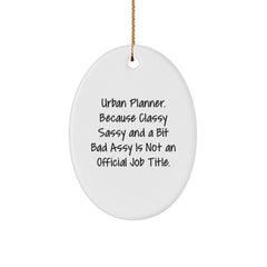 Fun Urban Planner Oval Ornament Gifts from Friends for Urban Planner Christmas Unique Decorations - Image 1