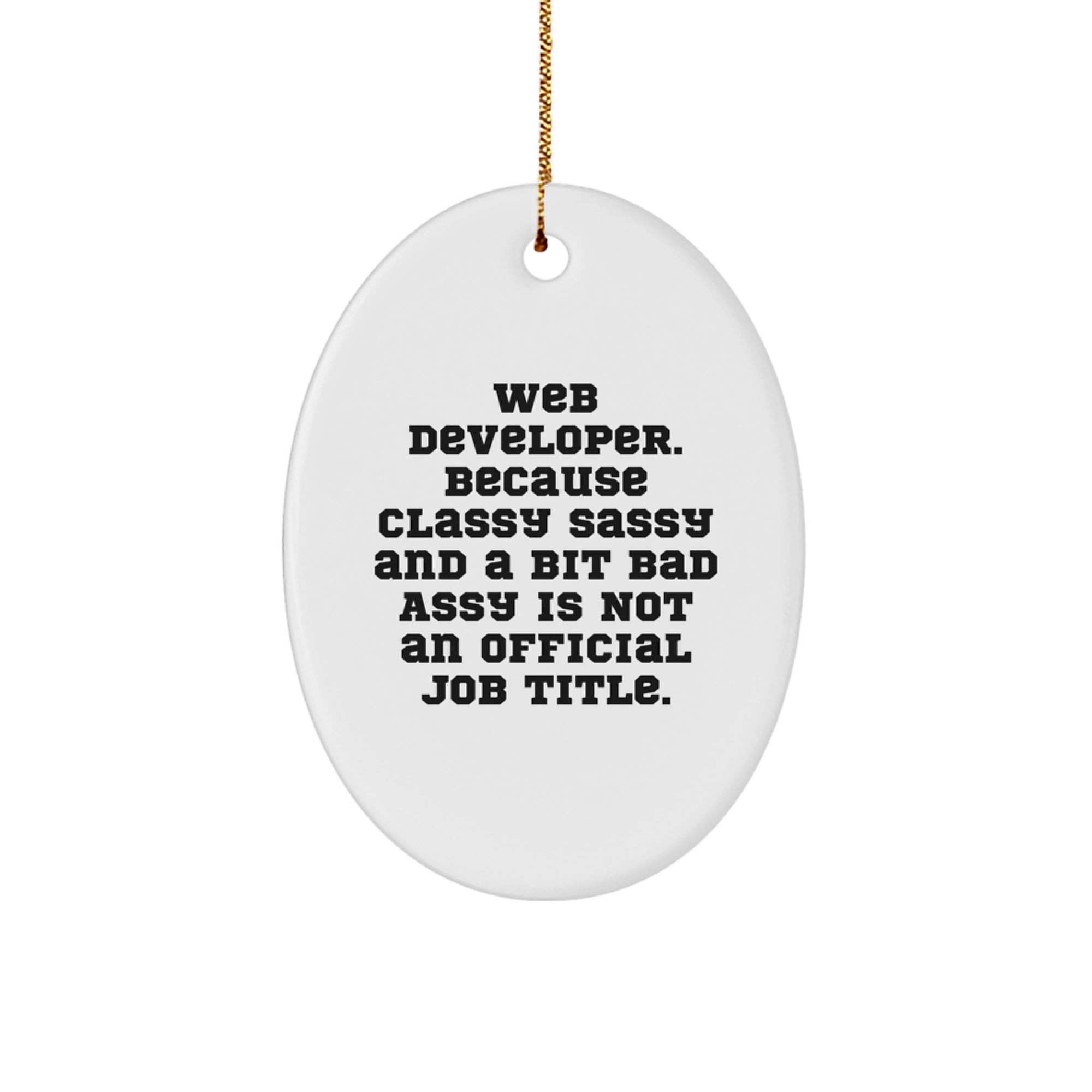 Funny Web Developer Oval Ornament Gifts from Men to Coworkers for Christmas Unique - Image 1