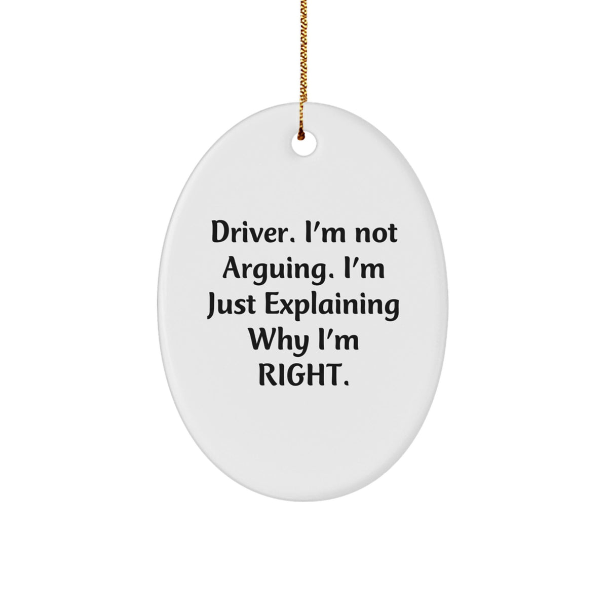 Funny Driver Gifts from Friends - Driver Oval Ornament Christmas Unique Gifts for Men - Image 1