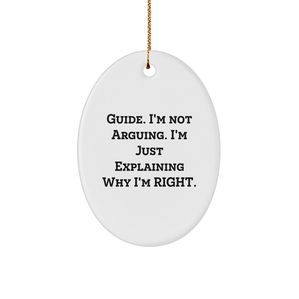Guide Enthusiast Gifts from Men, Funny Oval Ornament for Guide Lovers, Christmas Unique Gifts for Women - Image 1