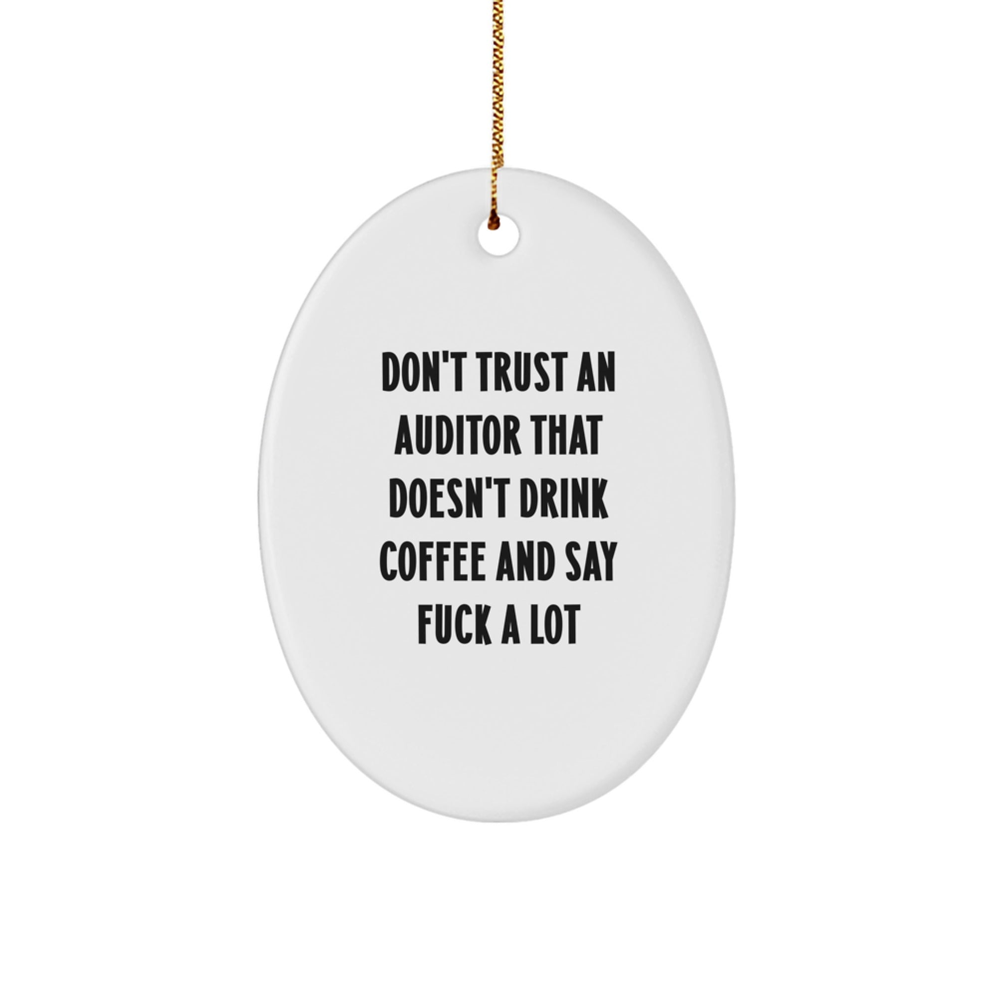 Funny Auditor Oval Ornament Gifts from Men to Friends for Christmas Unique - Image 1