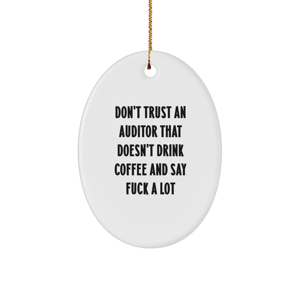 Funny Auditor Oval Ornament Gifts from Men to Friends for Christmas Unique - Image 1