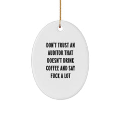 Funny Auditor Oval Ornament Gifts from Men to Friends for Christmas Unique - Image 1