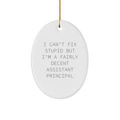 Funny Assistant Principal Gifts for Men, Oval Ornament - I Can't Fix Stupid But I'm A Decent Assistant Principal - Christmas Unique Gifts from Friends - Image 1