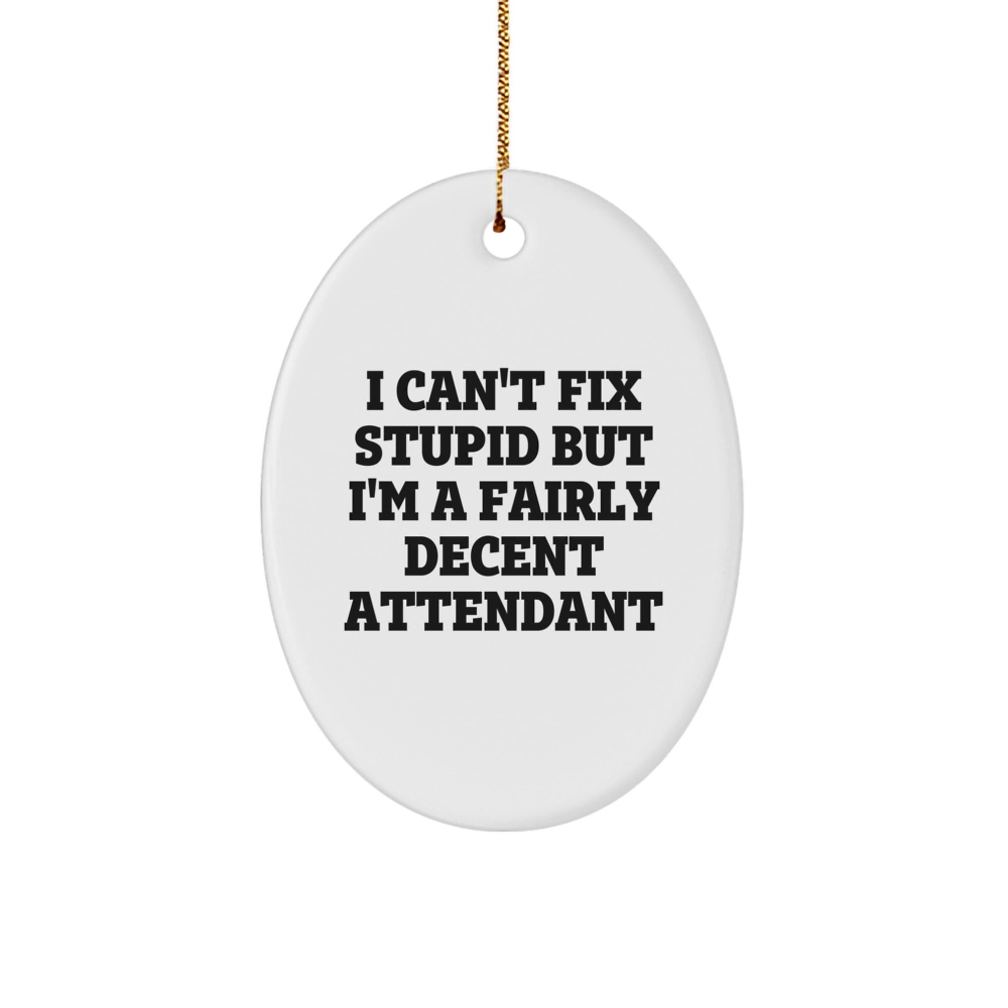 Funny Attendant Gifts for Christmas, Oval Ornament with 'I Can't Fix Stupid But I'm A Fairly Decent Attendant' Quote, Unique Decorations for Attendants, Gifts from Friends, Perfect for Attendants - Image 1