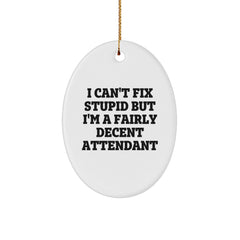 Funny Attendant Gifts for Christmas, Oval Ornament with 'I Can't Fix Stupid But I'm A Fairly Decent Attendant' Quote, Unique Decorations for Attendants, Gifts from Friends, Perfect for Attendants - Image 1