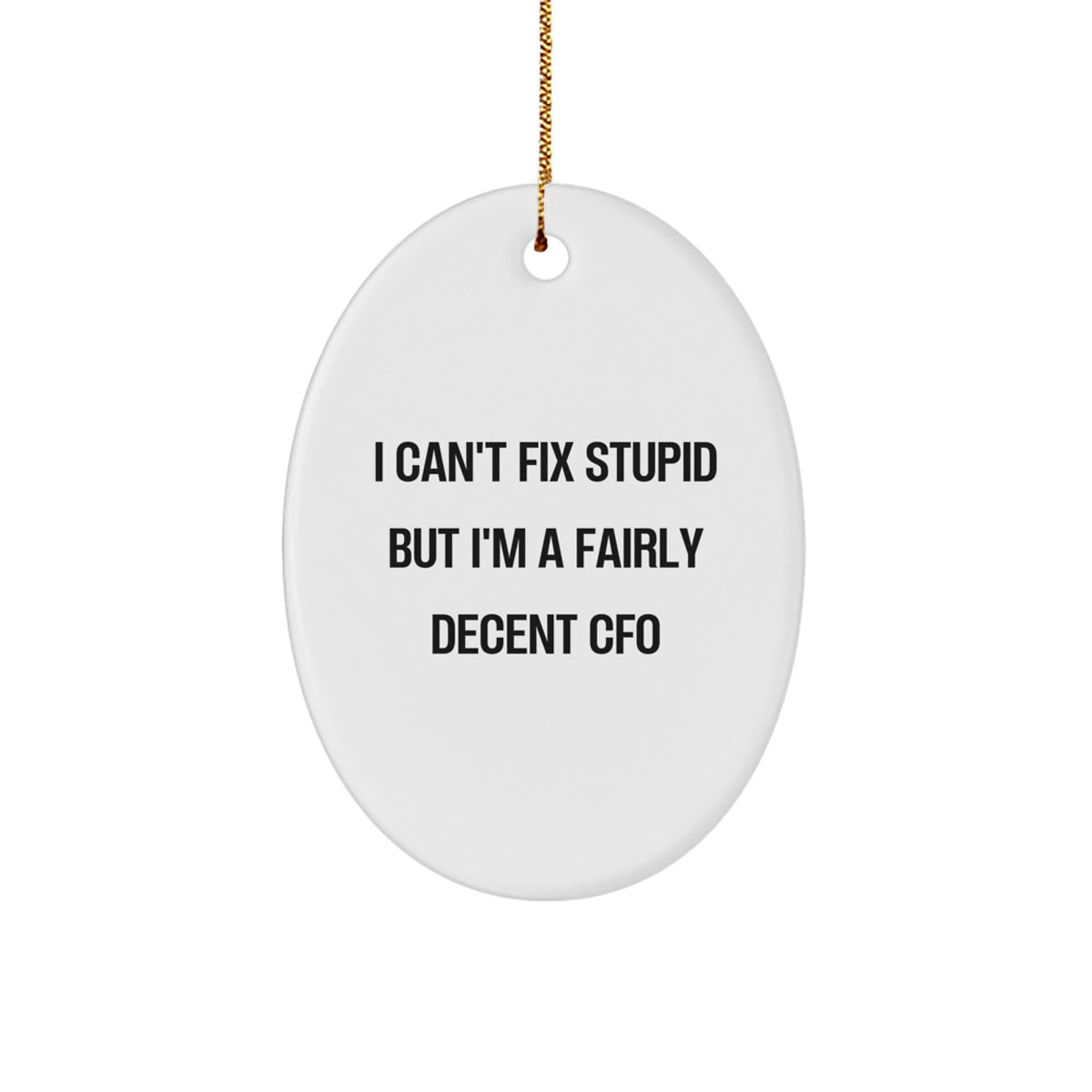 Funny CFO Gifts, Oval Ornament for Family, Men, Women, Friends, Coworkers, 'I Can't Fix Stupid But I'm A Fairly Decent Cfo' Christmas Unique Gifts from Friends to CFO - Image 1