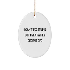 Funny CFO Gifts, Oval Ornament for Family, Men, Women, Friends, Coworkers, 'I Can't Fix Stupid But I'm A Fairly Decent Cfo' Christmas Unique Gifts from Friends to CFO - Image 1