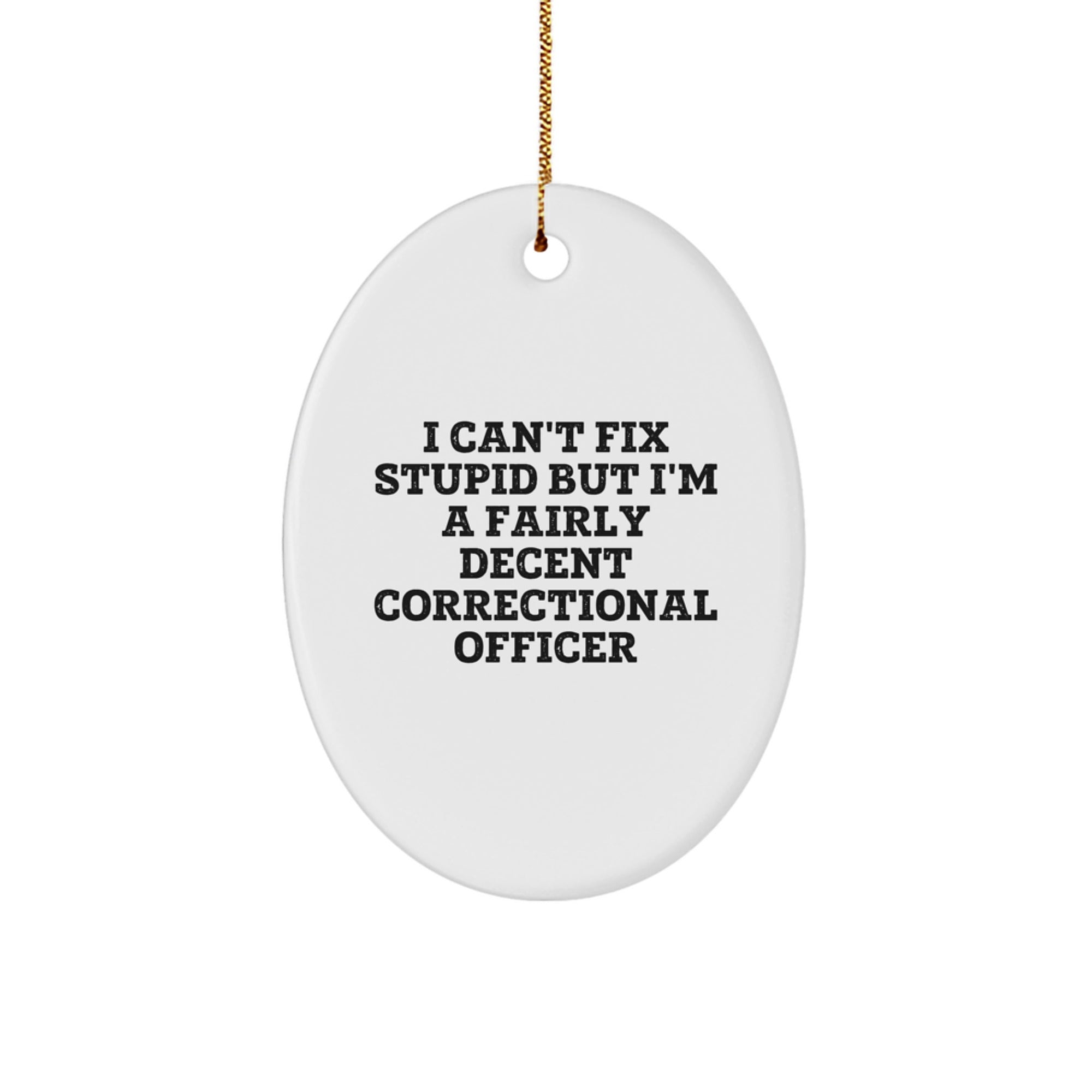 Funny Correctional Officer Gifts for Christmas - Oval Ornament with I Can't Fix Stupid Quote - Gifts from Friends for Correctional Officer Men - Image 1