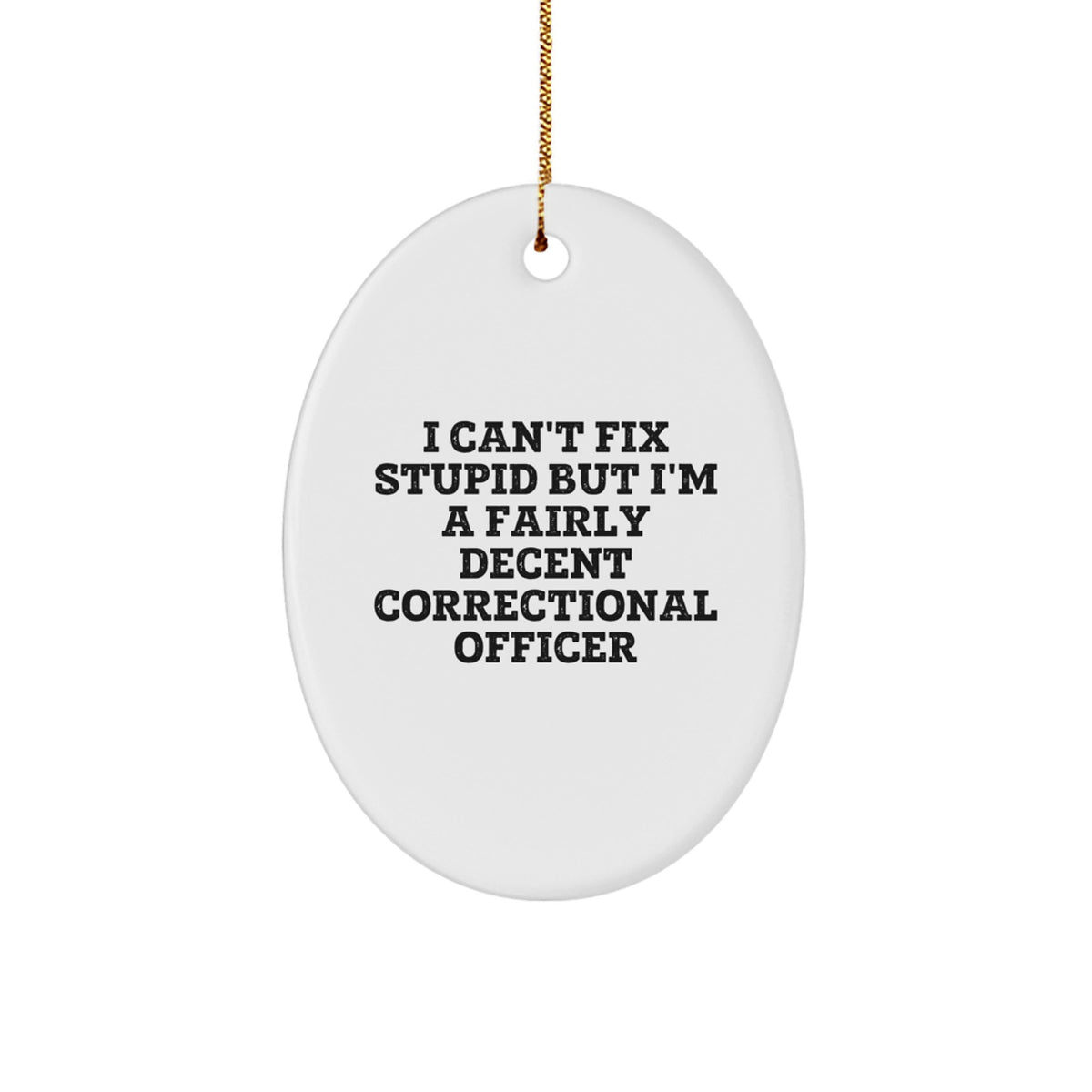 Funny Correctional Officer Gifts for Christmas - Oval Ornament with I Can't Fix Stupid Quote - Gifts from Friends for Correctional Officer Men - Image 1