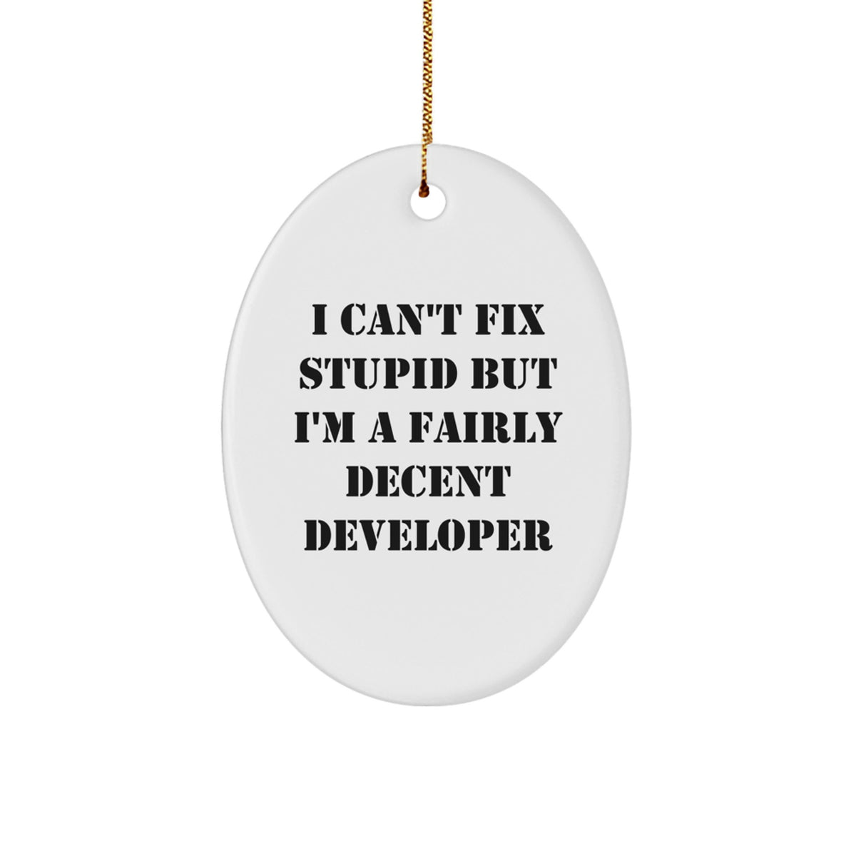 Funny Developer Christmas Unique Gifts from Friends, Oval Ornament for Men and Women, I Can't Fix Stupid But I'm A Fairly Decent Developer, Durable MDF Material - Image 1