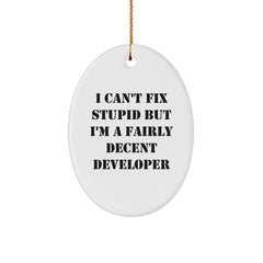 Funny Developer Christmas Unique Gifts from Friends, Oval Ornament for Men and Women, I Can't Fix Stupid But I'm A Fairly Decent Developer, Durable MDF Material - Image 1