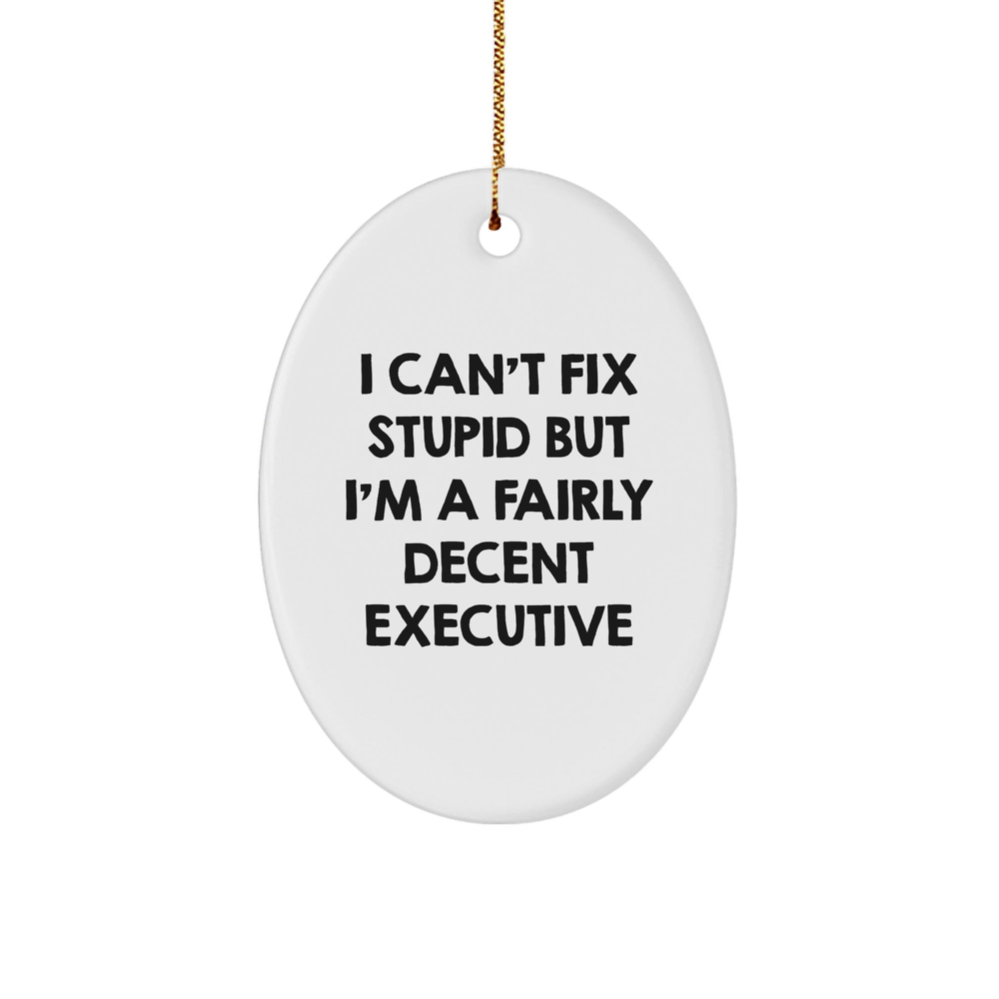 Funny Executive Oval Ornament Gifts for Men - Christmas Unique Gifts from Friends - Oval Ornament for Executive Office Decor - I Can't Fix Stupid - Image 1