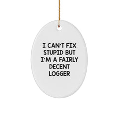 Logger Gifts from Friends, Funny Oval Ornament, I Can't Fix Stupid But I'm A Fairly Decent Logger, Christmas Unique Presents for Him - Image 1