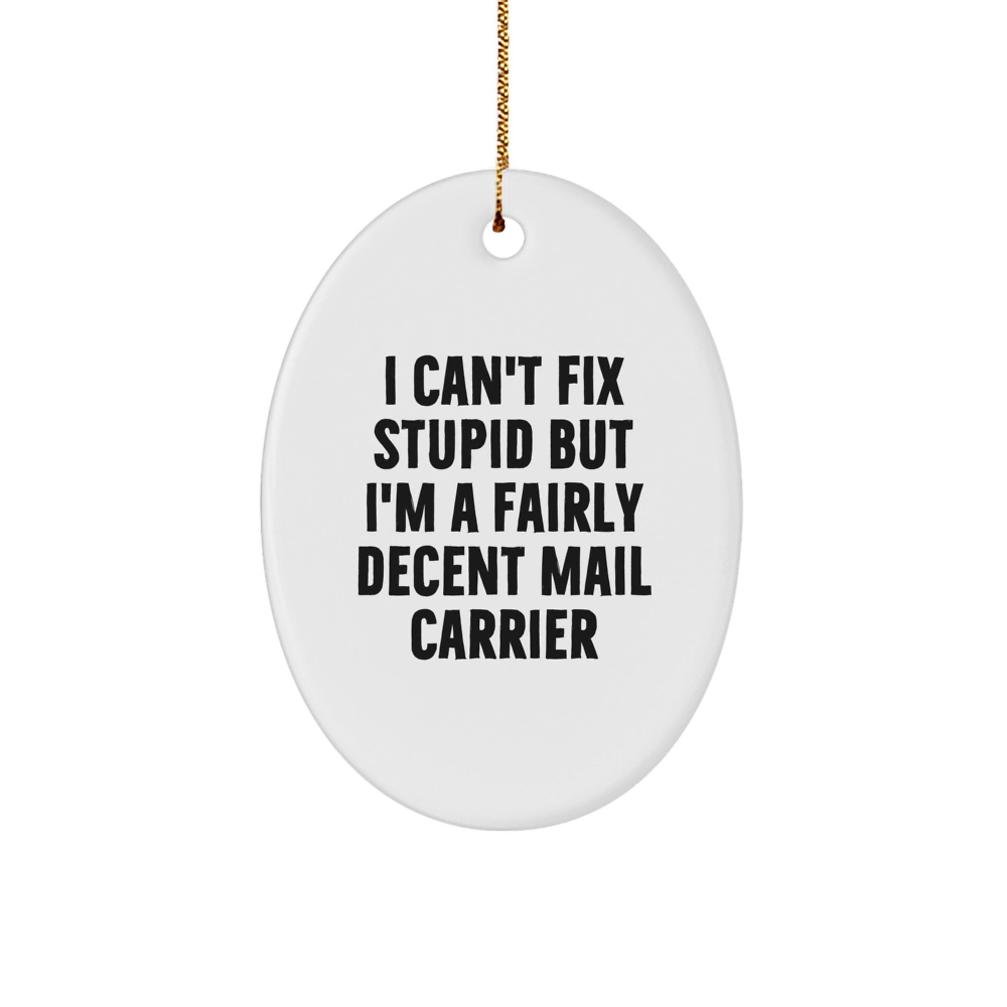 Funny Mail Carrier Gifts from Family to Mail Carrier Men, Oval Ornament with 'I Can't Fix Stupid But I'm A Fairly Decent Mail Carrier', Christmas Unique Gifts - Image 1