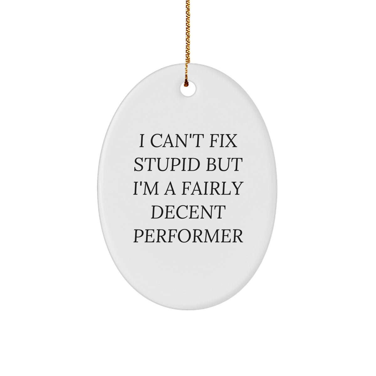 Funny Performer Gifts for Men - Oval Ornament with 'I Can't Fix Stupid But I'm A Fairly Decent Performer' Quote, Great Christmas Unique Gift from Friends to Coworkers - Image 1