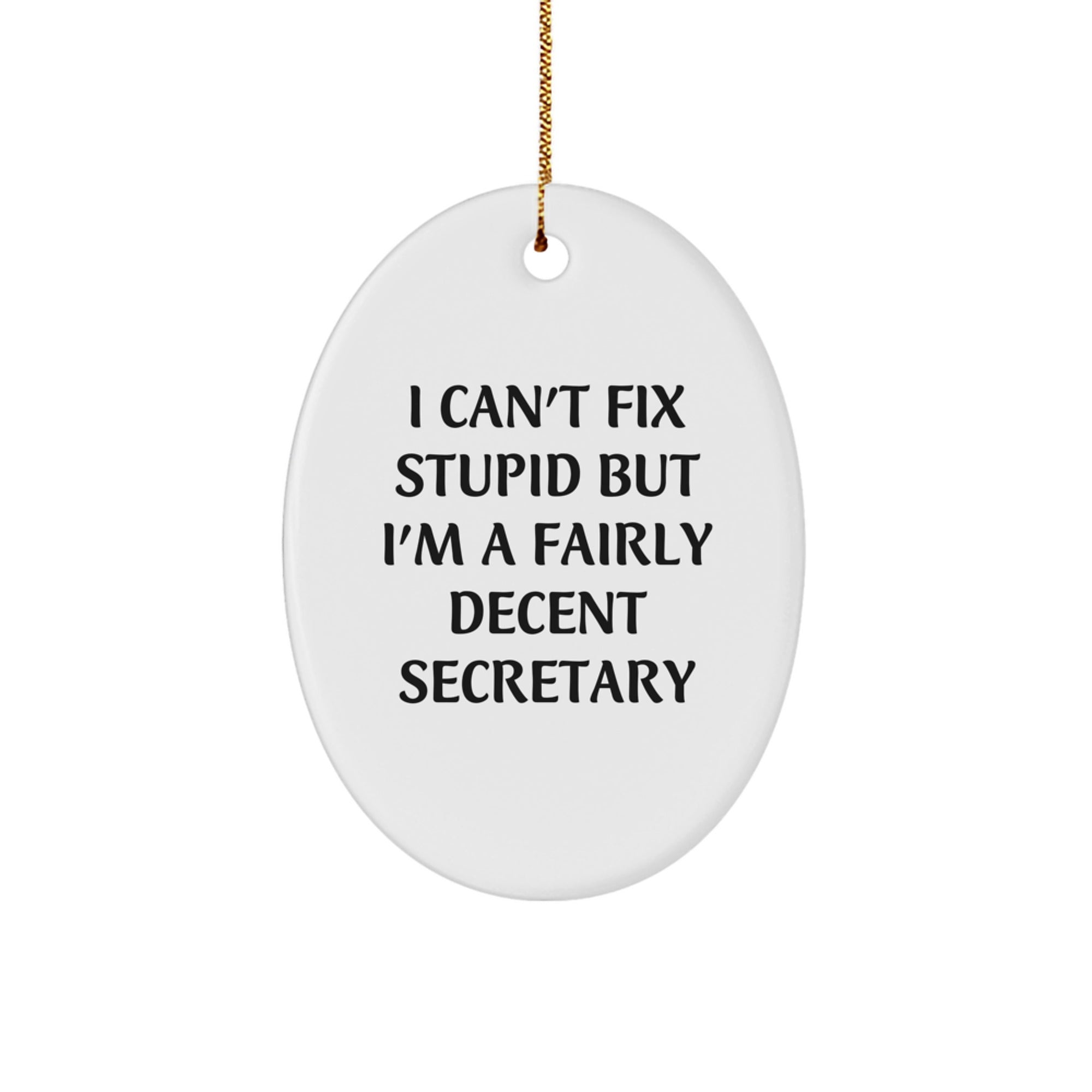 Secretary Gifts from Friends - Oval Ornament with Funny Quote - I Can't Fix Stupid But I'm A Fairly Decent Secretary, Gifts for Secretary, Christmas Unique - Image 1