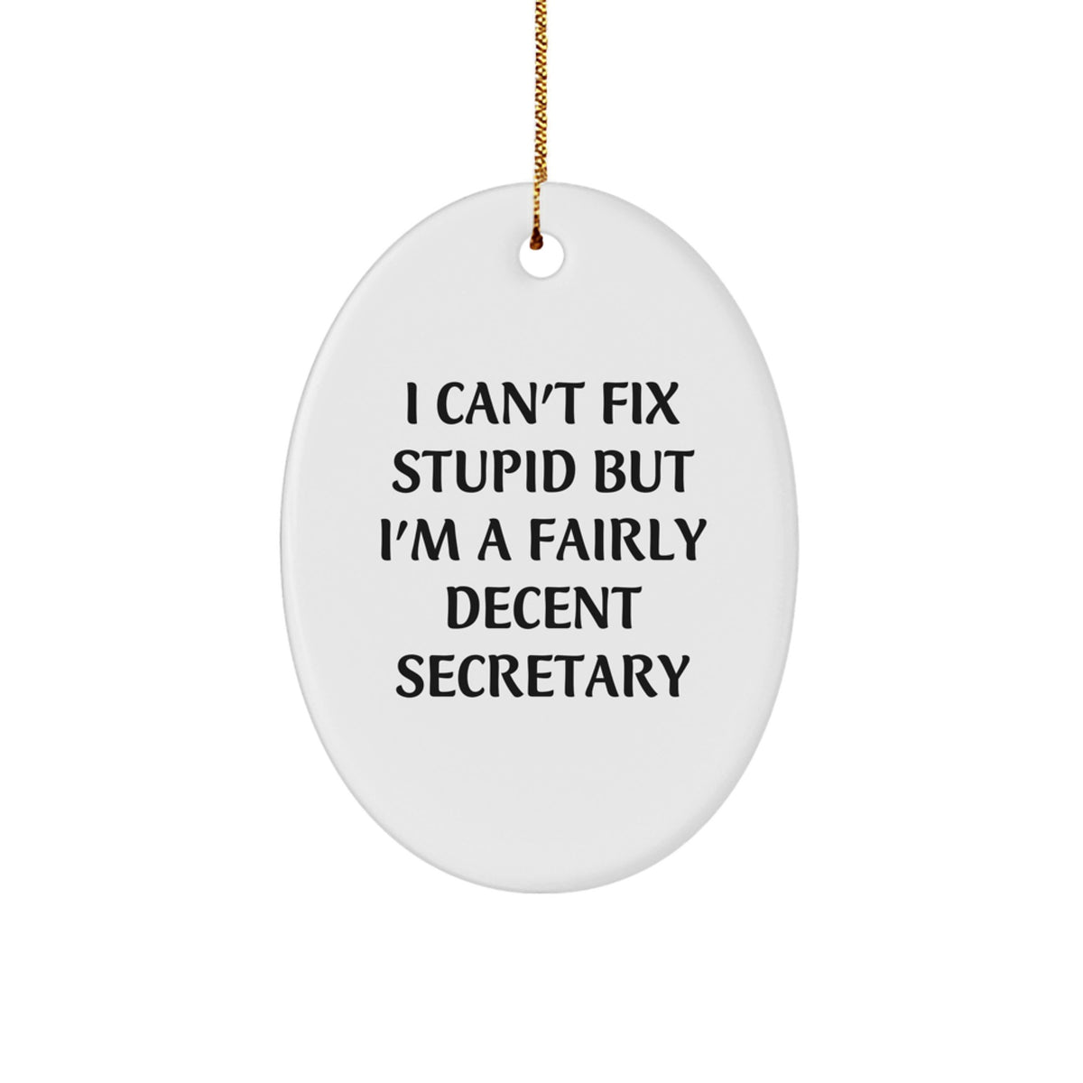 Secretary Gifts from Friends - Oval Ornament with Funny Quote - I Can't Fix Stupid But I'm A Fairly Decent Secretary, Gifts for Secretary, Christmas Unique - Image 1
