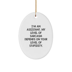 Funny Assistant Gifts, I'm An Assistant, Oval Ornament, Christmas Unique Gifts from Friends, for Assistant - Image 1
