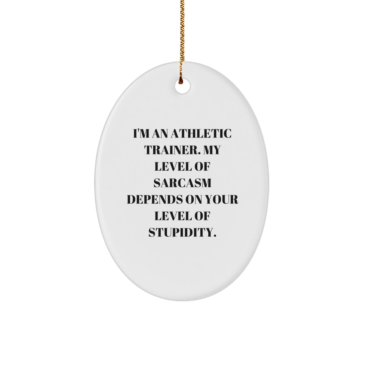 Athletic Trainer Humor Gifts from Friends and Family - 'I'm An Athletic Trainer...' Oval Ornament for Christmas - Image 1