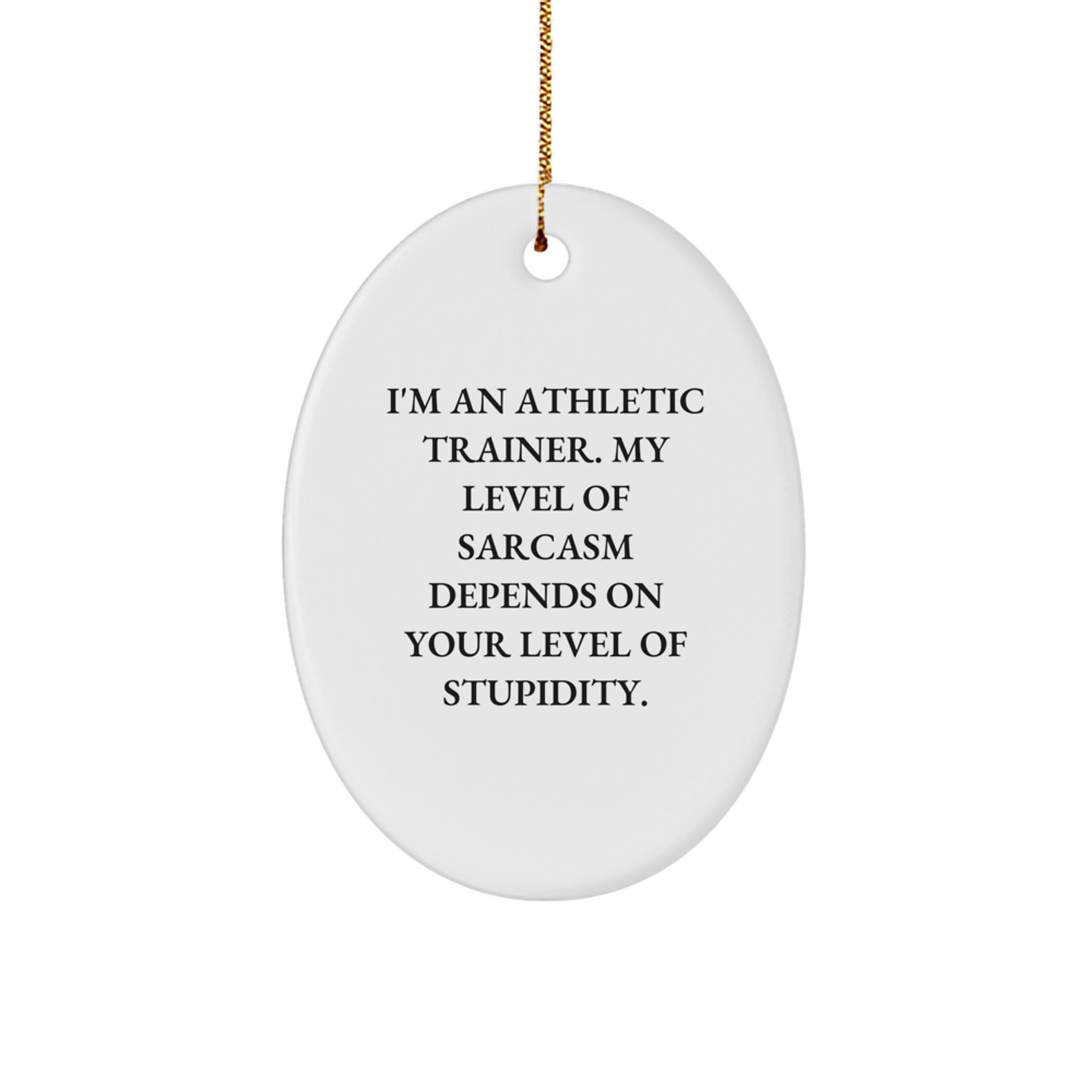 Funny Athletic Trainer Gifts, 'I'm An Athletic Trainer' Oval Ornament, Christmas Unique Gifts for Men, Women, Coworkers, Family and Friends - Image 1