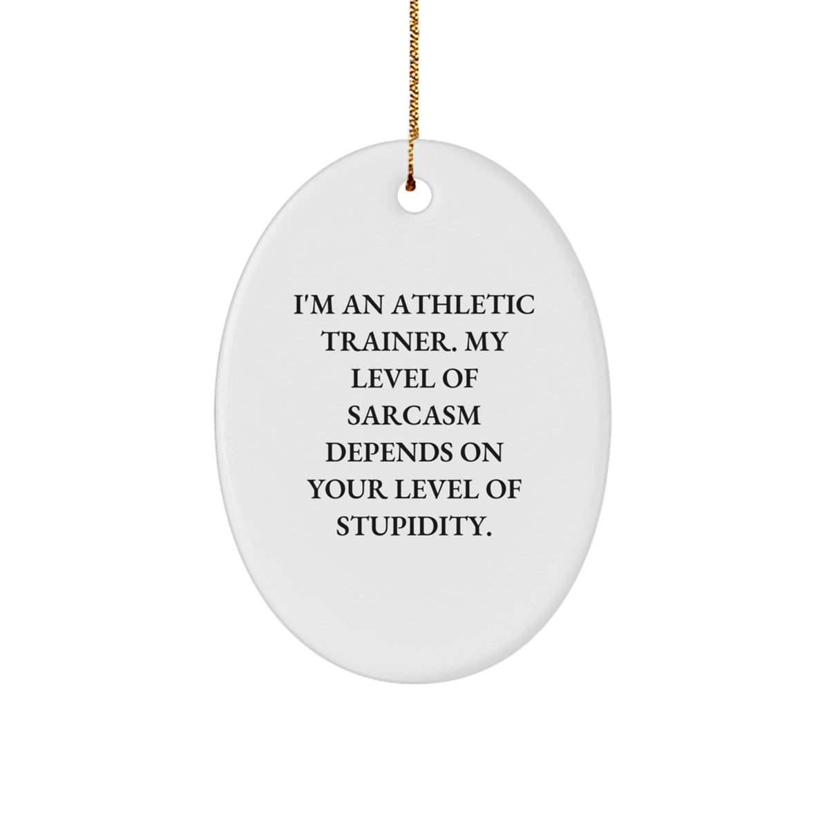 Funny Athletic Trainer Gifts, 'I'm An Athletic Trainer' Oval Ornament, Christmas Unique Gifts for Men, Women, Coworkers, Family and Friends - Image 1