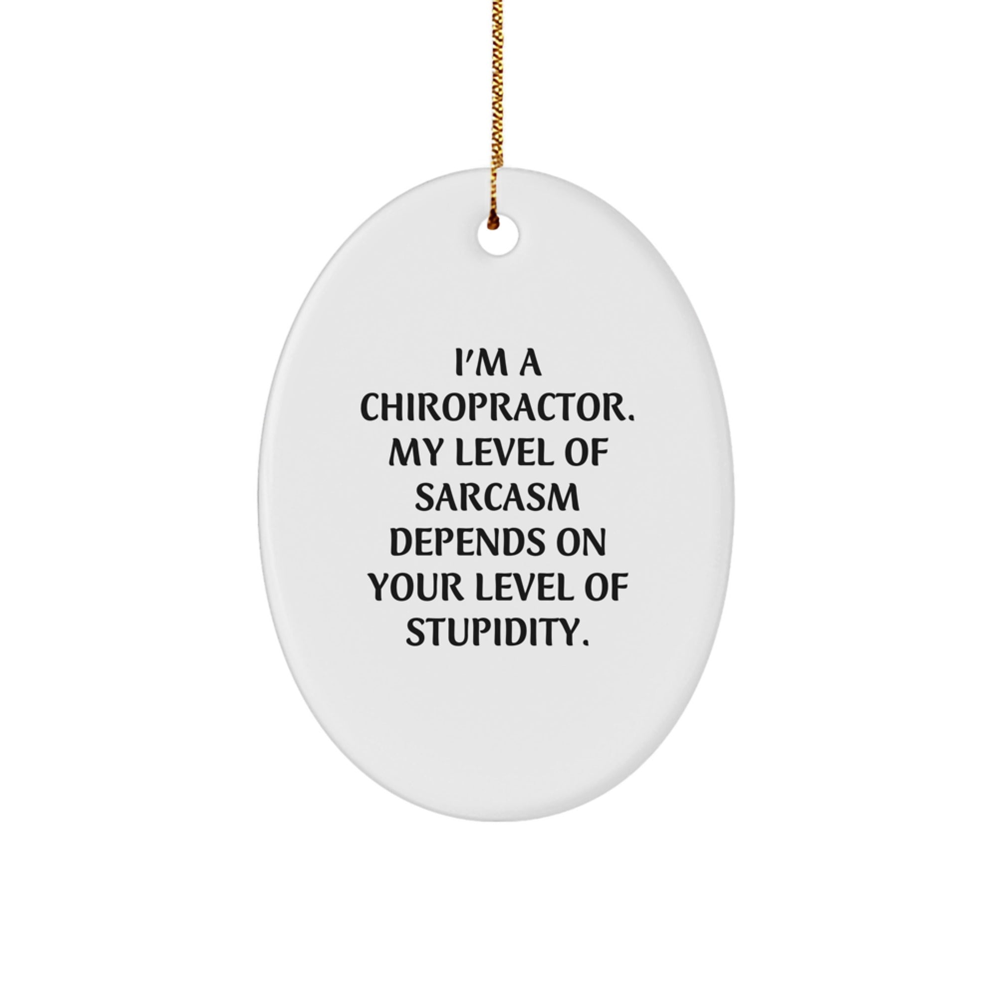 Funny Chiropractor Gifts from Friends - Oval Ornament with 'I'm A Chiropractor. My Level Of Sarcasm Depends On Your Level Of Stupidity.' Quote - Christmas Unique Gifts for Chiropractors - Image 1