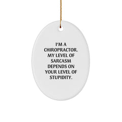 Funny Chiropractor Gifts from Friends - Oval Ornament with 'I'm A Chiropractor. My Level Of Sarcasm Depends On Your Level Of Stupidity.' Quote - Christmas Unique Gifts for Chiropractors - Image 1