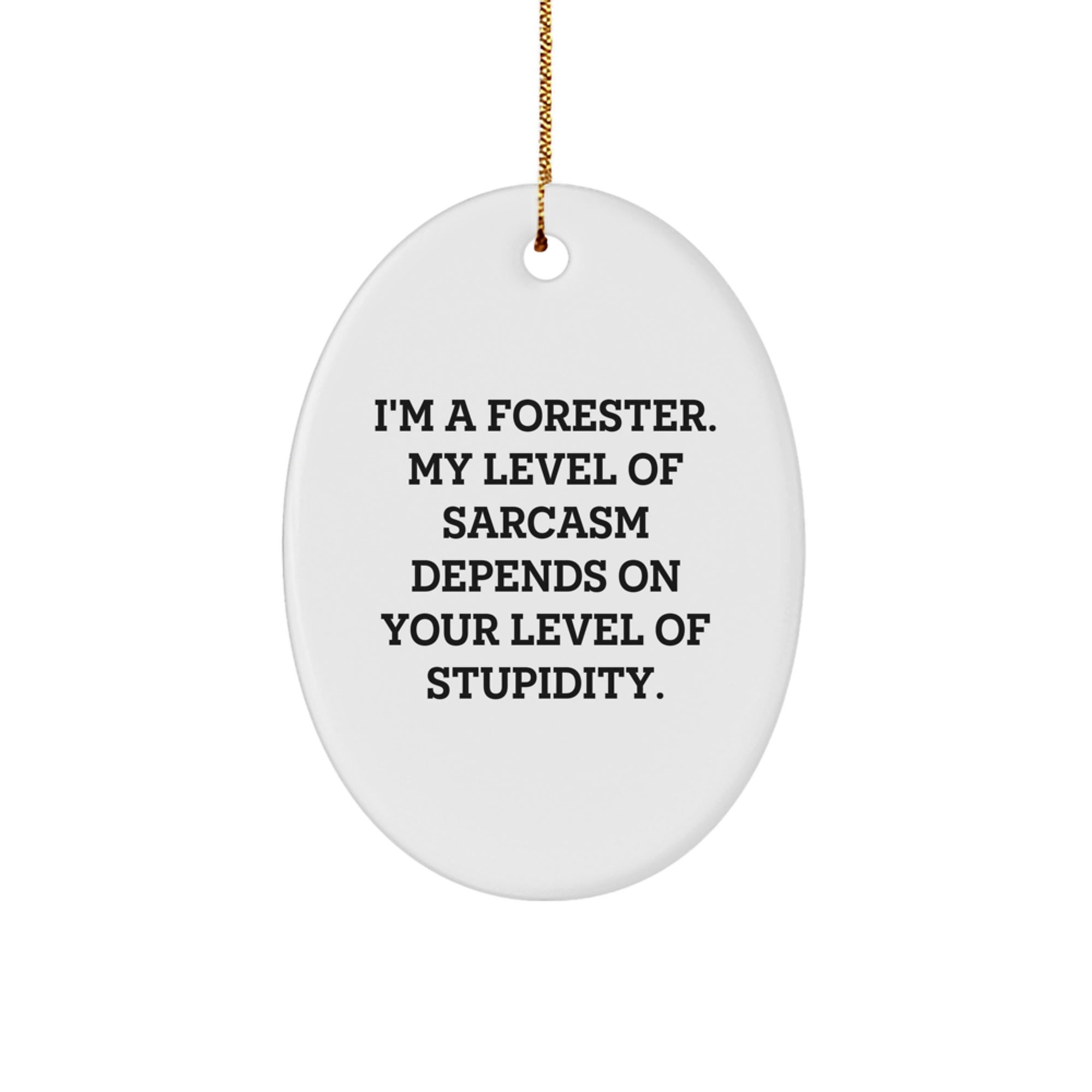 Funny Forester Gifts, I'm A Forester, My Level Of Sarcasm Depends On Your Level Of Stupidity, Oval Ornament, Christmas Unique Gifts from Friends to Forester - Image 1