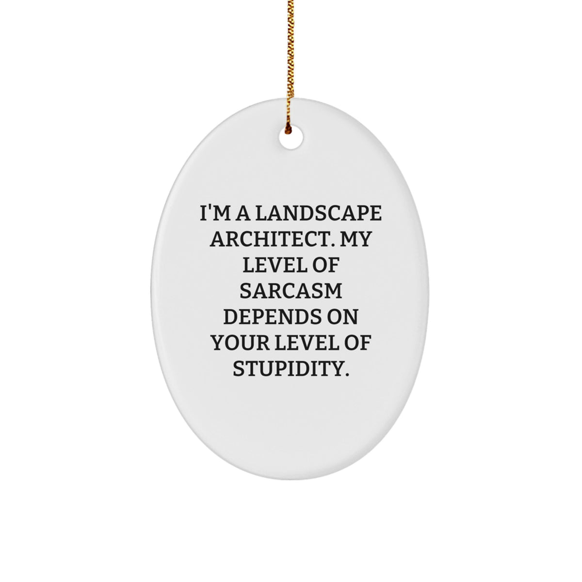 Funny Landscape Architect Gifts from Friends, Christmas Unique Oval Ornaments for Landscape Architect, 'I'm A Landscape Architect. My Level Of Sarcasm Depends On Your Level Of Stupidity.' - Image 1