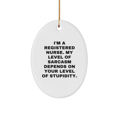 Funny Sarcasm Registered Nurse Oval Ornament Gifts from Friends, Coworkers, Family to Registered Nurses, Nurses, Men, Women, Healthcare Professionals for Christmas Unique Decorations - Image 1