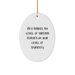 Funny Trainer Gifts from Friends, Coworkers, or Family - 'I'm A Trainer. My Level Of Sarcasm Depends On Your Level Of Stupidity.' Oval Ornament for Christmas - Image 1