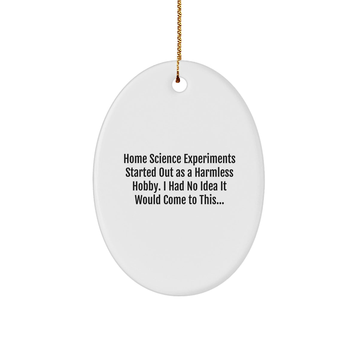 Funny Home Science Experiments Oval Ornament Gifts from Friends for Family Christmas - Image 1