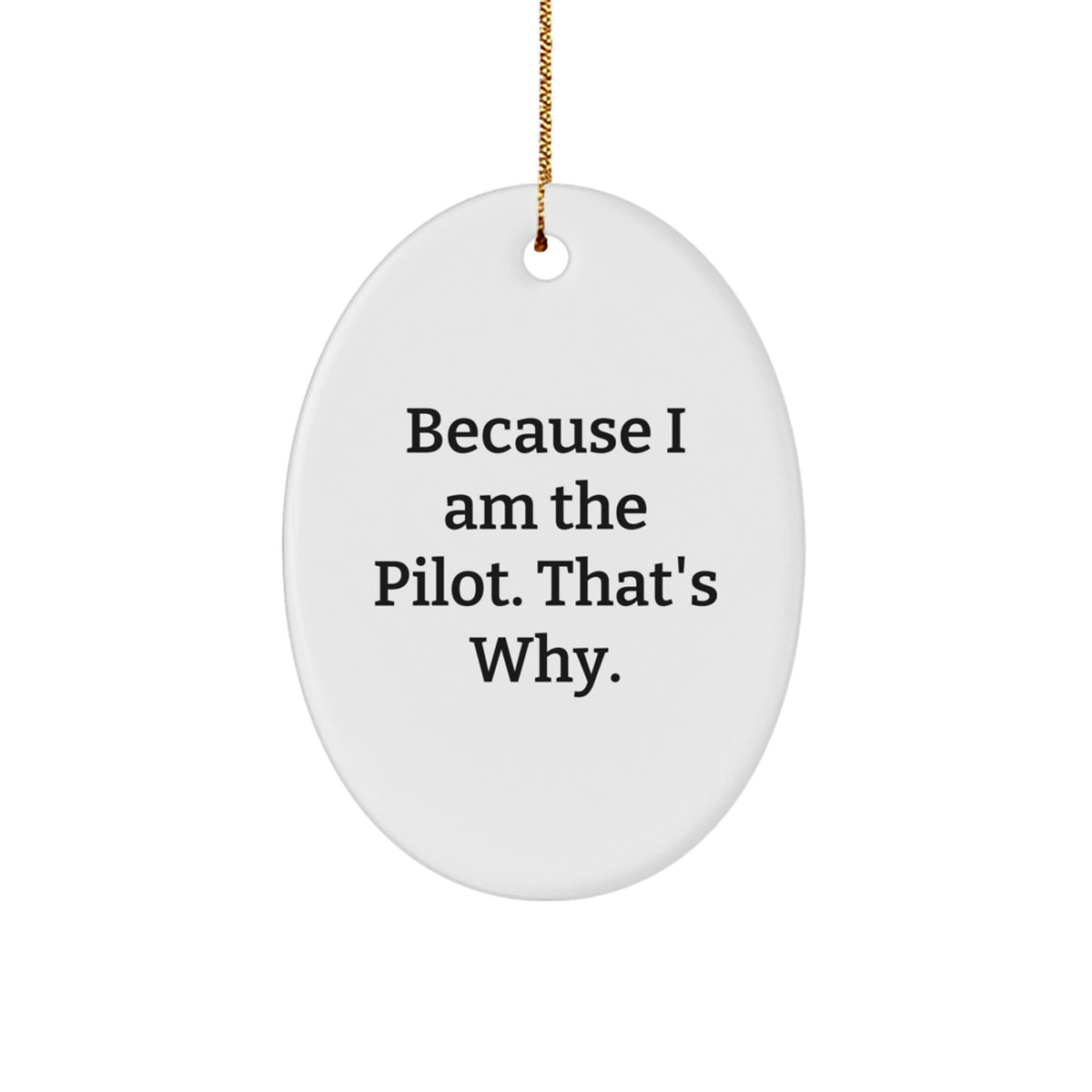 Pilot Gifts from Men for Friends Because I Am The Pilot. That's Why. Oval Ornament, Christmas Unique Presents - Image 1