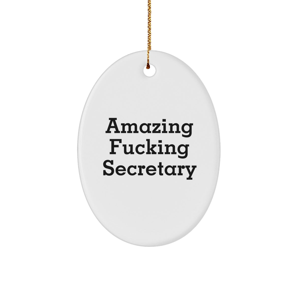 Funny Secretary Gifts from Friends for Christmas - Amazing Oval Ornament - Image 1