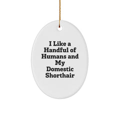 Funny Domestic Shorthair Cat Gifts, Oval Ornament for Men or Women Friends Family, I Like A Handful Of Humans And My Domestic Shorthair, Christmas Unique Gifts from Home - Image 1