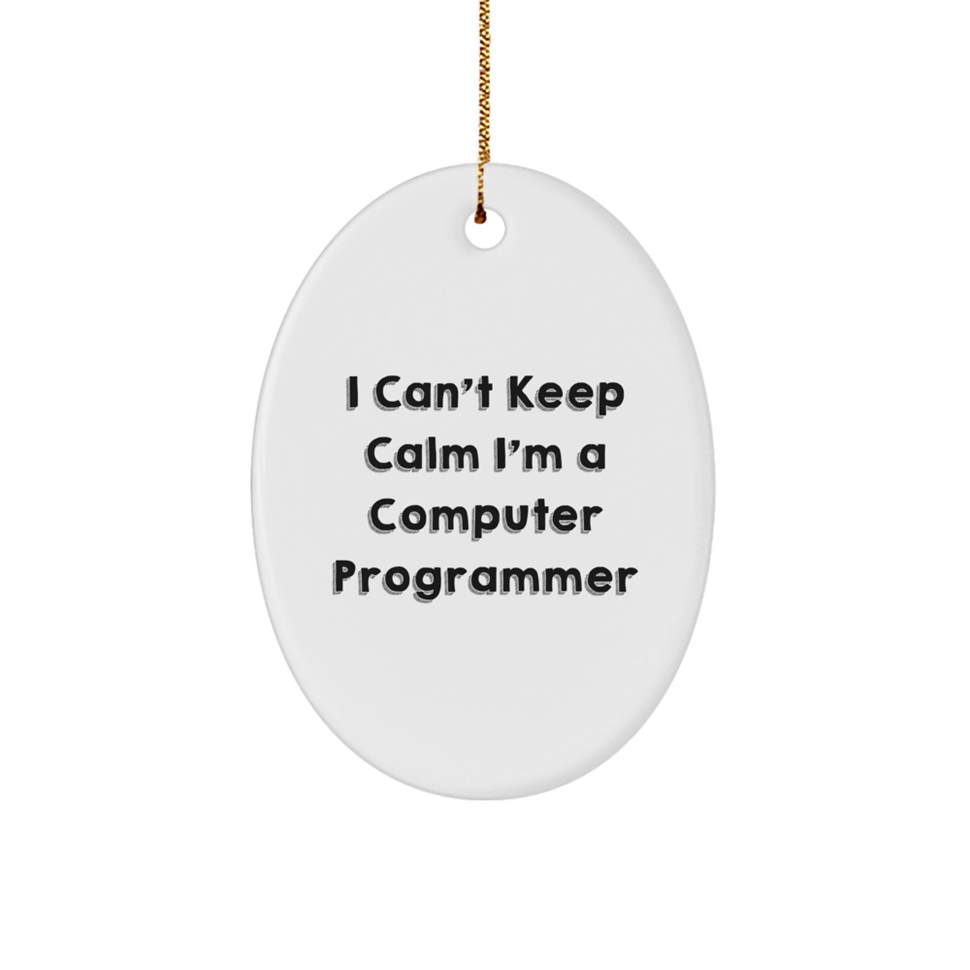Funny Computer Programmer Oval Ornament Gifts for Him from Friends, Unique Christmas Unique Gifts for Men, Oval Shaped Computer Programmer Decorative Item - Image 1