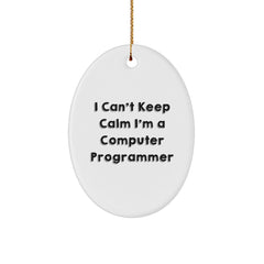 Funny Computer Programmer Oval Ornament Gifts for Him from Friends, Unique Christmas Unique Gifts for Men, Oval Shaped Computer Programmer Decorative Item - Image 1