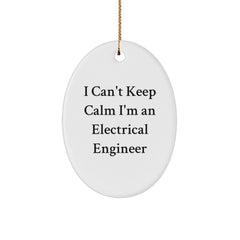 Funny Electrical Engineer Gifts - I Can't Keep Calm Oval Ornament for Electrical Engineer Men - Unique Christmas Unique Gifts from Men to Electrical Engineer - Image 1