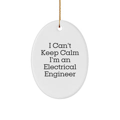 Funny Electrical Engineer Oval Ornament Gifts from Friends to Electrical Engineers at Christmas - Image 1