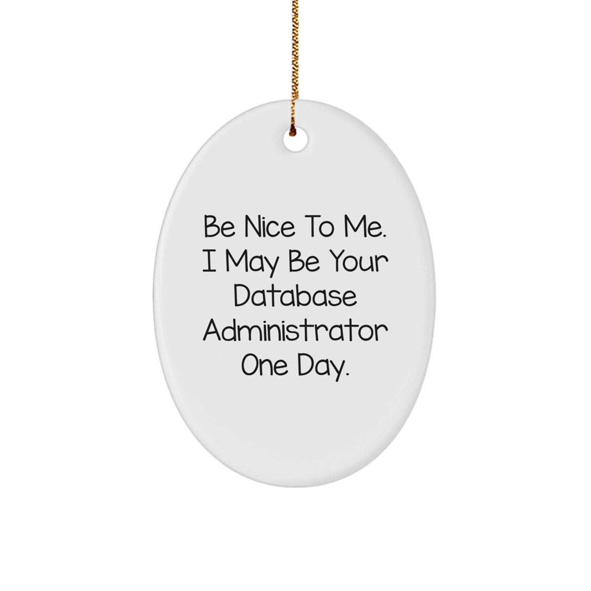 Funny Database Administrator Gifts, Be Nice To Me. I May Be Your Database Administrator One Day., Oval Ornament for Christmas, Gifts from Friends for Database Administrator - Image 1