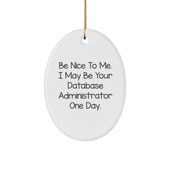 Funny Database Administrator Gifts, Be Nice To Me. I May Be Your Database Administrator One Day., Oval Ornament for Christmas, Gifts from Friends for Database Administrator - Image 1