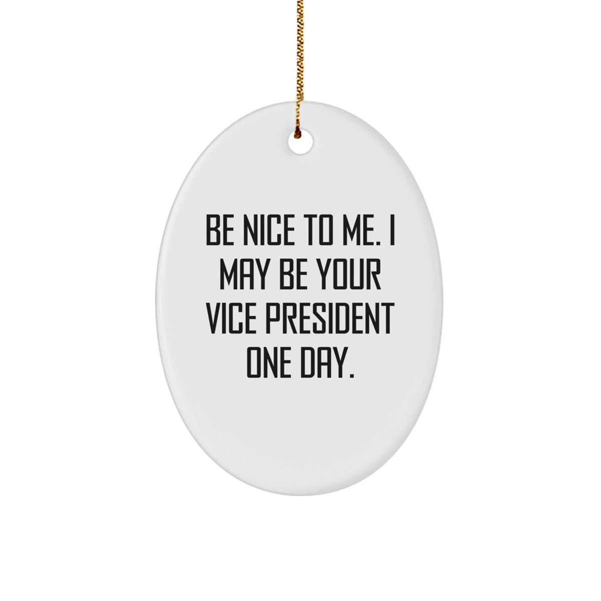 Funny Vice President Oval Ornament Gifts from Coworkers, Be Nice To Me, Christmas Unique Gifts for Men Women Friends Family - Image 1