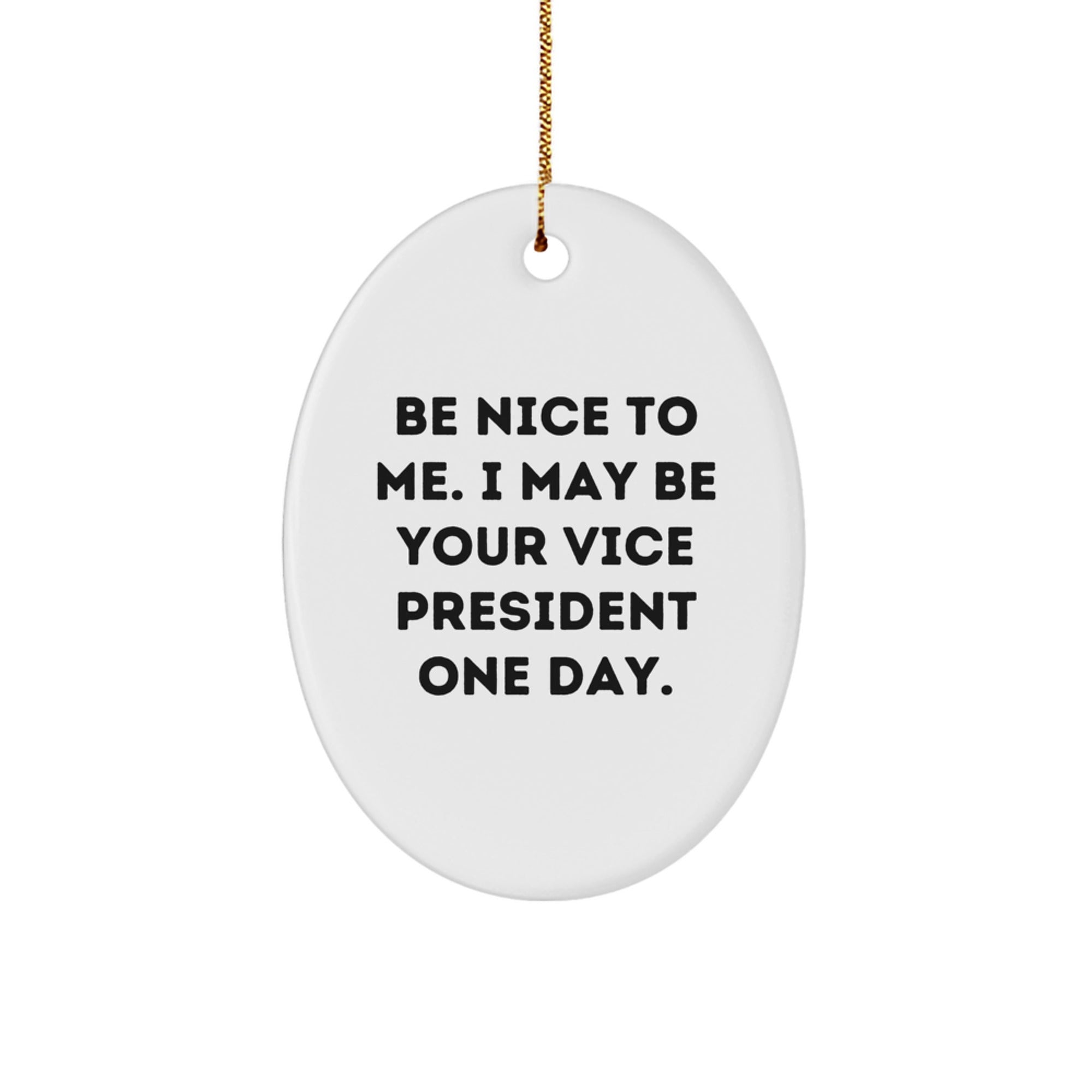 Funny Vice President Oval Ornament Gifts from Friends to Family - Be Nice To Me I May Be Your VP One Day - Christmas Unique Gifts for Vice President - Image 1