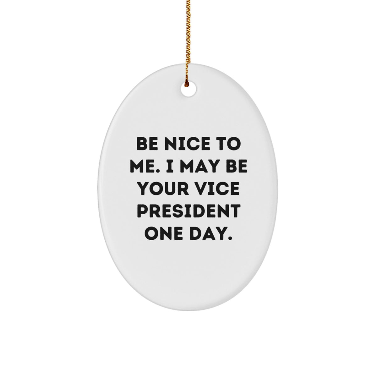 Funny Vice President Oval Ornament Gifts from Friends to Family - Be Nice To Me I May Be Your VP One Day - Christmas Unique Gifts for Vice President - Image 1