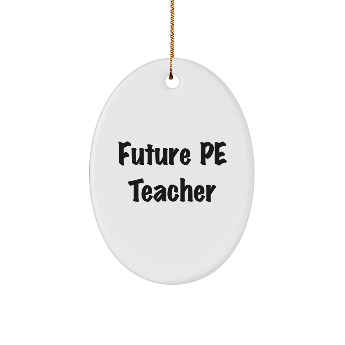 Funny Quote Gifts for PE Teacher, Oval Ornament, Christmas Unique Presents from Friends, Family, Coworkers, or Men, Women - Image 1