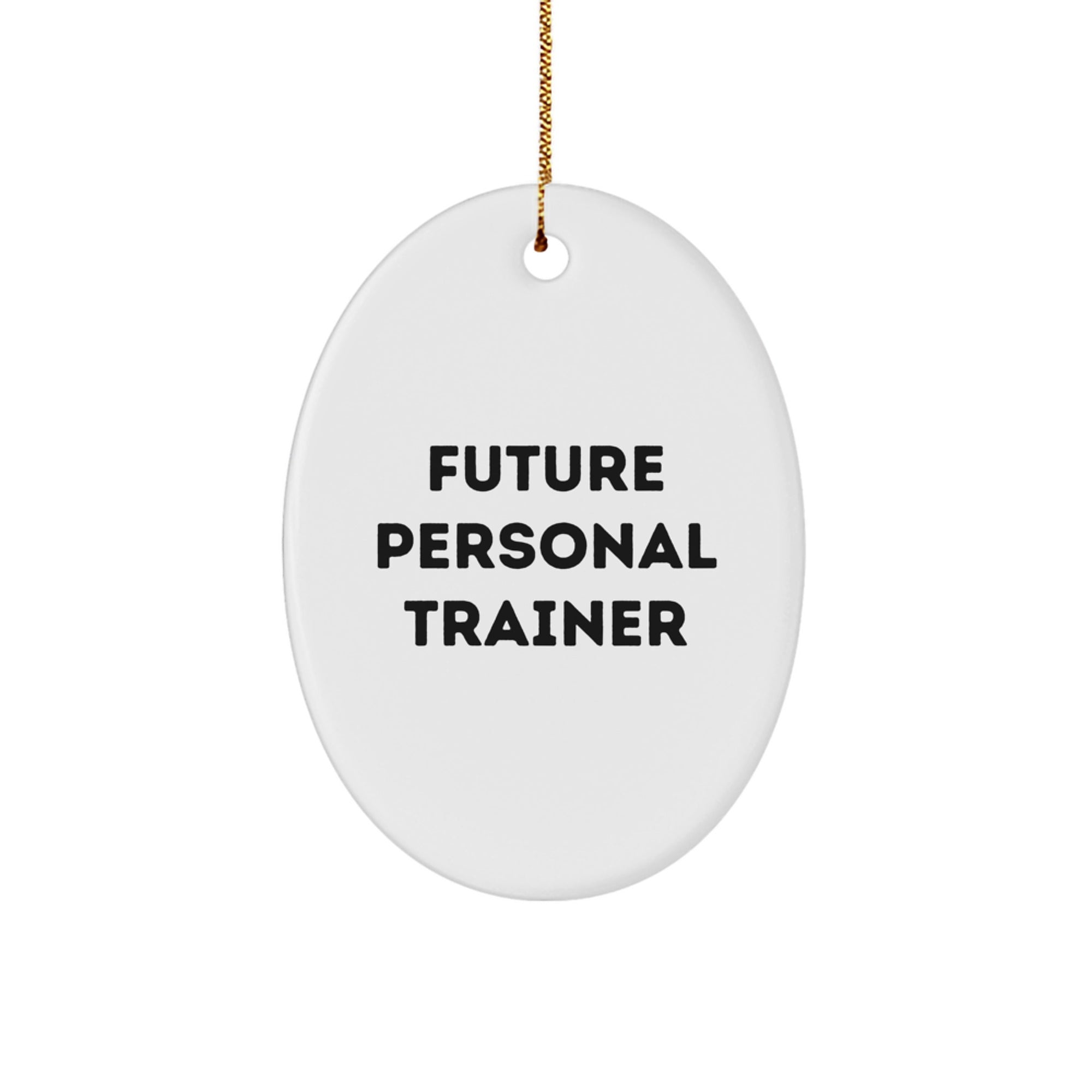 Funny Quote Personal Trainer Gifts from Friends for Christmas Unique Oval Ornament Decoration, Inspirational Future Personal Trainer - Image 1